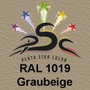 Set 1 : 2  x 150ml, BSL  Graubeige 150 ml RAL 1019 &...