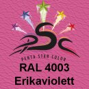 Set 1 : 2  x 150ml, BSL  Erikaviolett 150 ml RAL 4003...