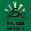 Set 1 : 2 x 150ml, Lederfarbe Minzgrün RAL 6029 & Leder-Reiniger