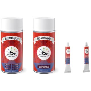 Set 4-150 : Vinylfarbe passend für BMW Grau 60 Kunstlederpflege Kunstleder-Reparatur