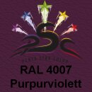 Set 5-150 : Lederfarbe für RAL4007 Lederpflege...