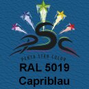 Set 6-150 : Lederfarbe für RAL5019...