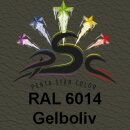 Set 6-150 : Lederfarbe für RAL6014...