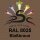 Set 6-400 : Lederfarbe für RAL8025 Flicken-Reparatur-Lederpflege-Wertehaltung